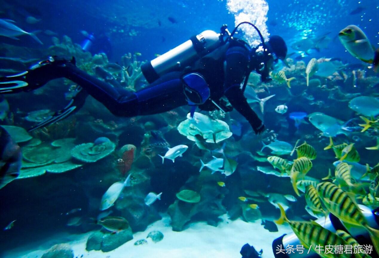 北京工体富国海底世界周边玩乐,北京富国海底世界海洋水族馆