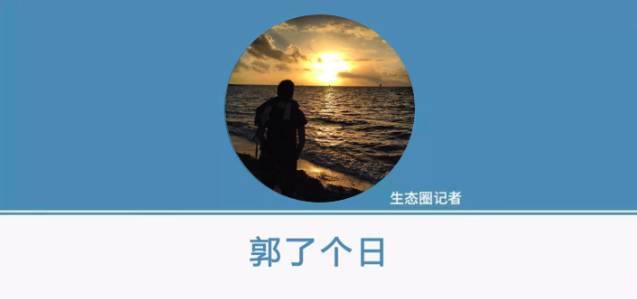 懂球帝资本方,懂球帝融资