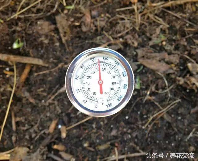 种花土怎么堆肥,养花旧土怎么不花钱处理成营养土