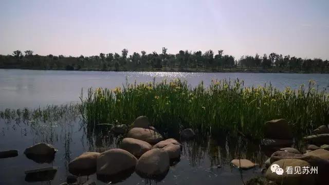 醉美苏州好去处太湖吴中,苏州太湖边哪里最好看攻略