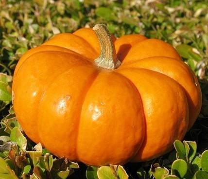 穿越古代后宫三千佳丽,穿越古代后宫佳丽三千