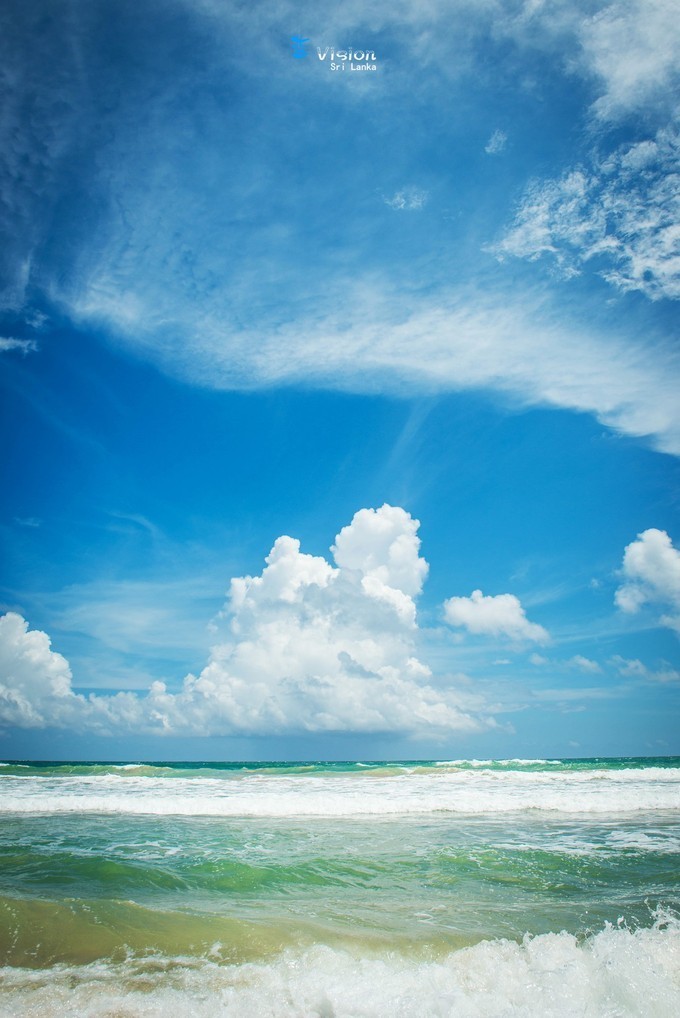 蓝色大海女人,蓝色大海和绿色大海