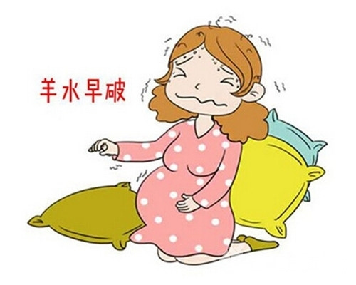 怎么辨别母猪羊水已破图片,怎么辨别羊水破了