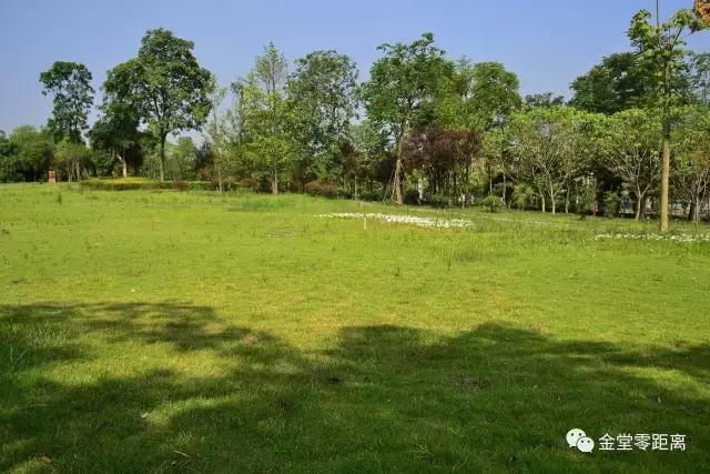 虐狗秀恩爱名场面,虐狗秀恩爱高甜视频