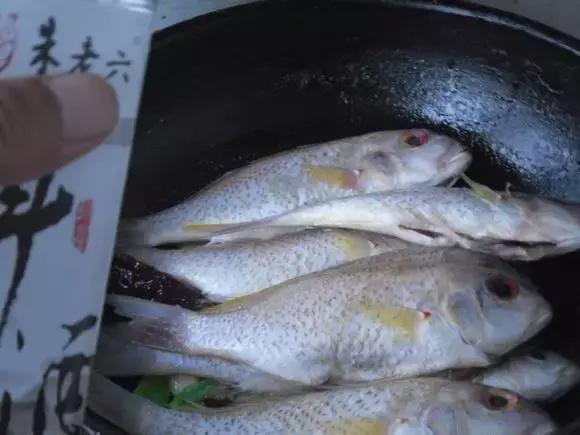 哪种海鱼炖鱼最好吃,海边渔民怎么炖鱼