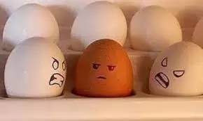 英国诺丁汉留学一年住宿费用,英国诺丁汉住宿攻略