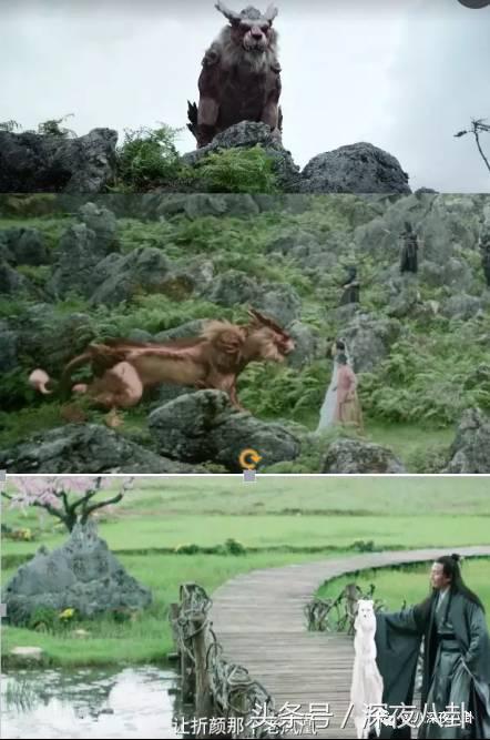 杨幂面对黑粉大气语录,杨幂自黑代表什么