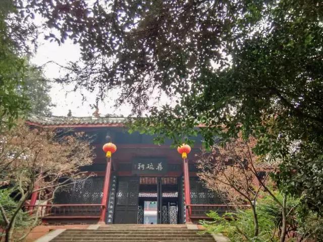 鑺辨捣閲嶇鏉ヨ,鑺辨捣鏉ヨ