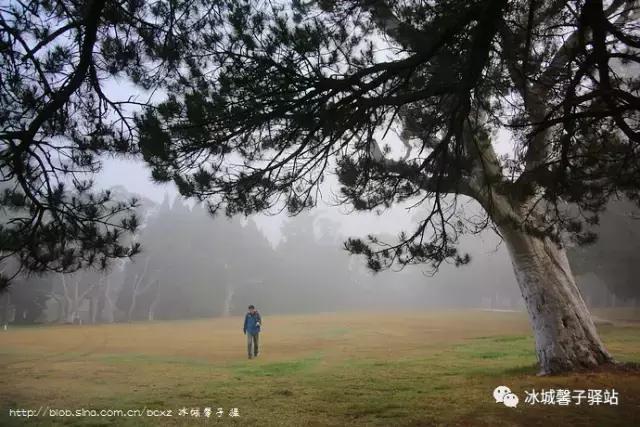 澳大利亚小镇都叫什么名字,澳大利亚蓝山为什么叫蓝山