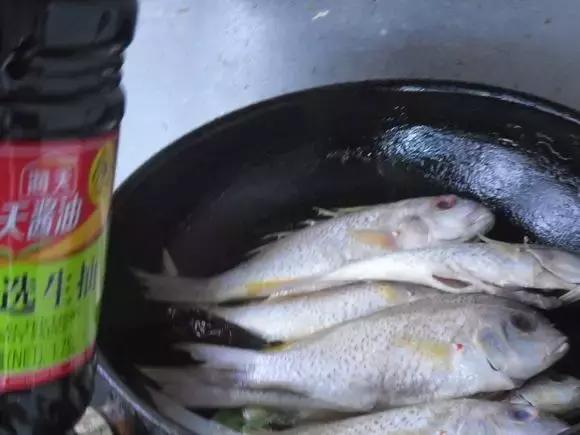 哪种海鱼炖鱼最好吃,海边渔民怎么炖鱼