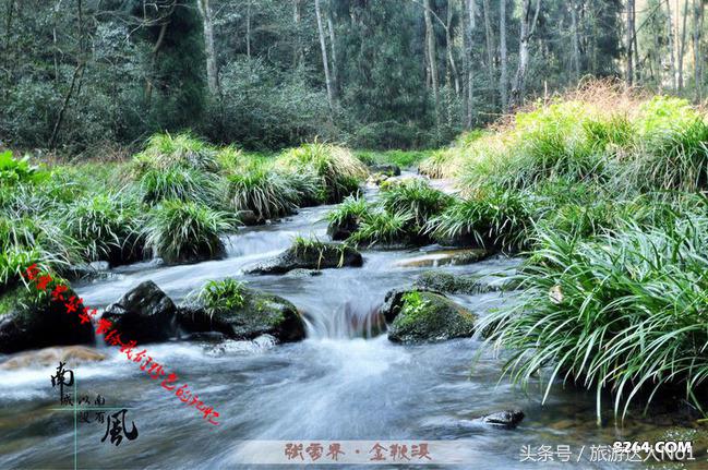 张家界国家森林公园旅游攻略,张家界品质游旅行社旅游攻略