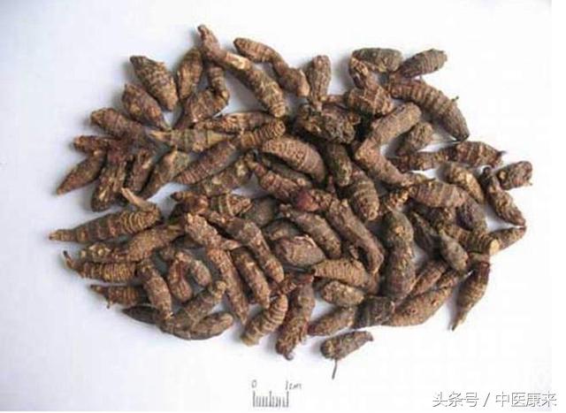 吃了抗凝药牙龈出血是怎么回事,牙龈出血怎么回事用什么药