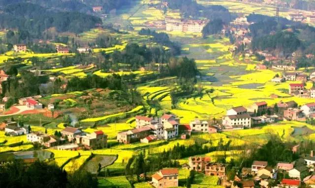 2018汉中油菜花旅游攻略,2024汉中油菜花自驾游攻略