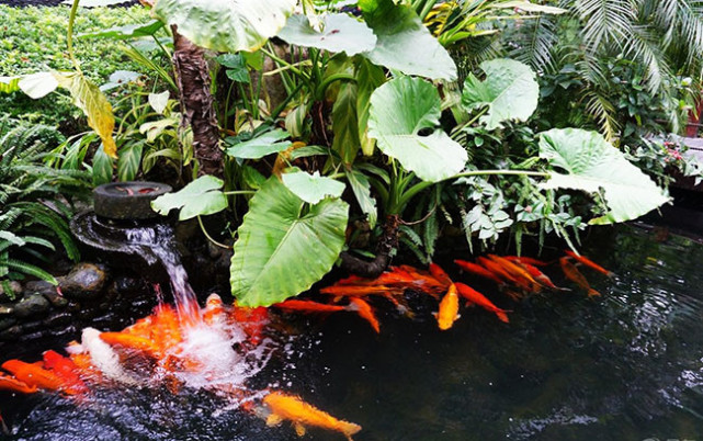 一次说走就走的旅游海南三亚,一次说走就走说回就回的旅行