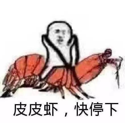 皮皮虾，我们走，为我们的车主保养去！