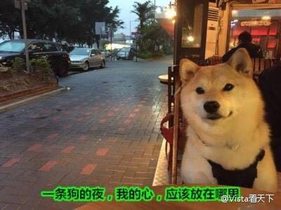 初恋情人为了所谓的爱抛弃婚姻,初恋癌症男子去照顾