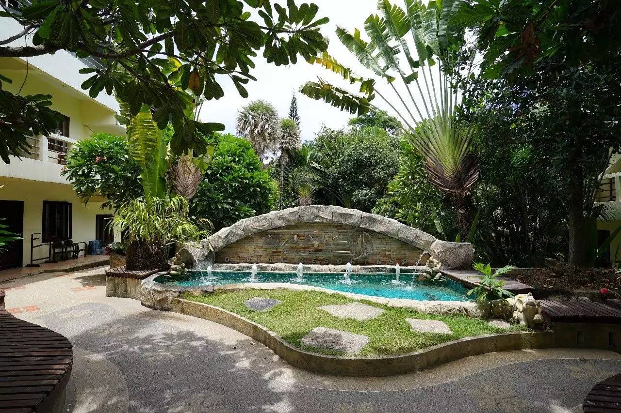 泰国|涛岛:在海上漂了一年,我终于沉下去了