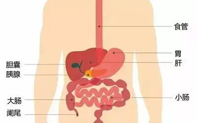 用药不当导致胃痛,药物引起的胃痛能不能吃止痛药