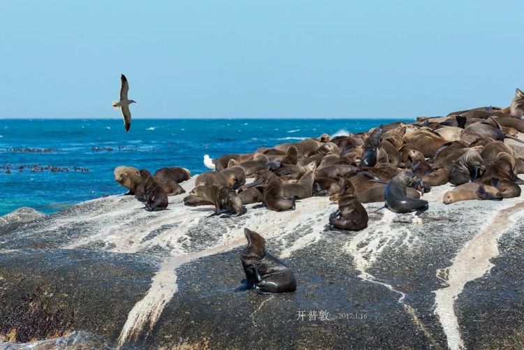 走进彩虹之国感受南非独特之美,彩虹之国南非