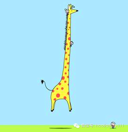 春季孩子黄金长高季:骨科医生教你如何长高,果断收藏,要长高!