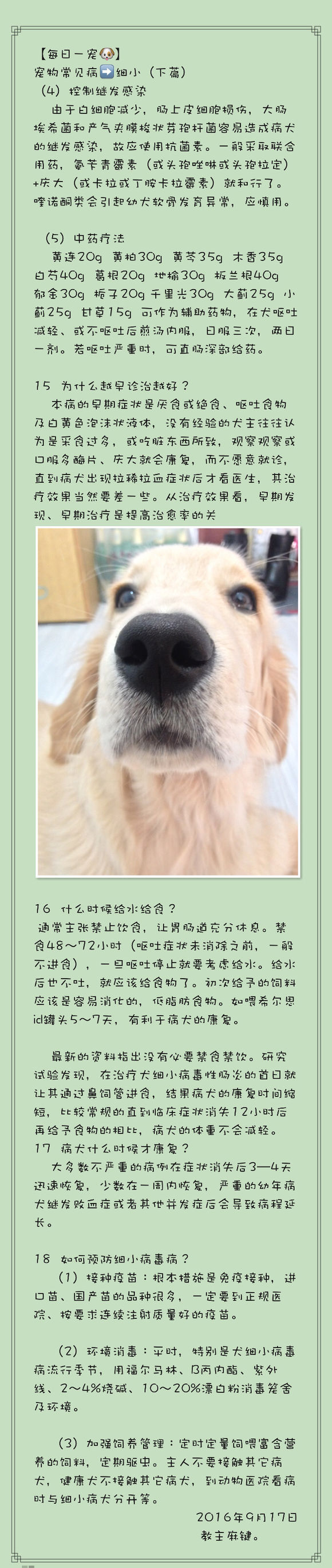 （收藏）宠物腹泻的五种情况及宠物常见病的应急方法！