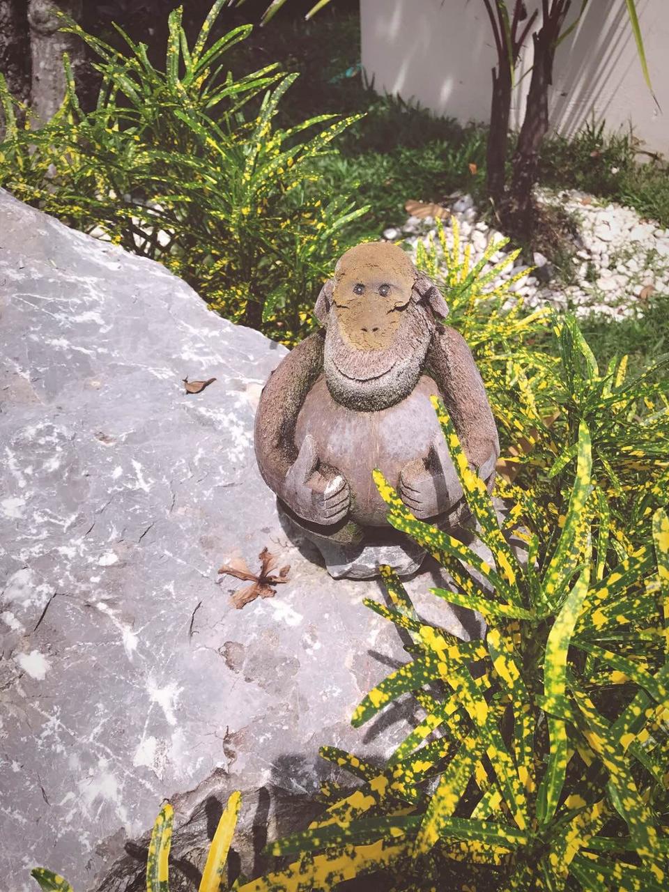 萨瓦迪卡！就在KohSamui撒野吧！