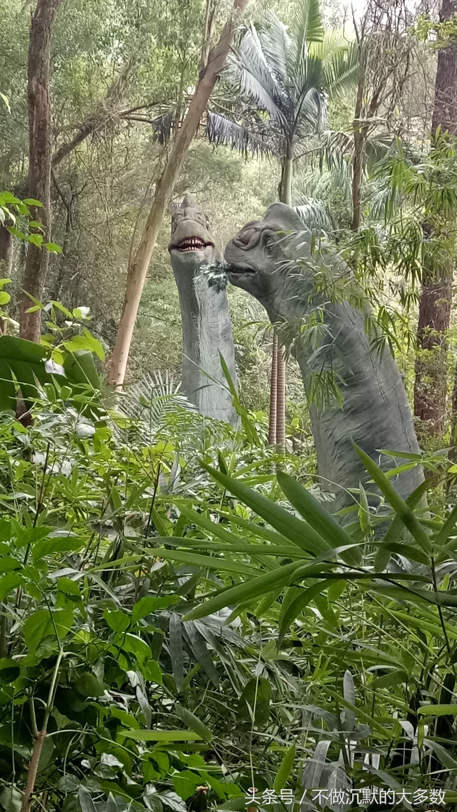 广州长隆野生动物园金蛇秘境直播,长隆野生动物园金蛇秘境害怕吗