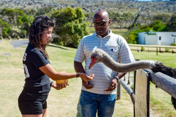 走进彩虹之国感受南非独特之美,彩虹之国南非