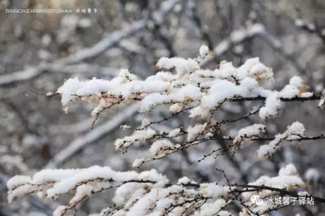 北极神龙湾、女脚湾，天地间画出的婀娜