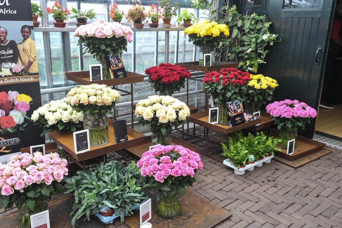 小本赚钱生意,经济低迷下最适合做的小本生意