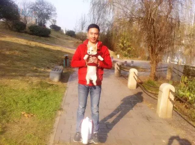 长沙人爱养什么品种的鸟,长沙人为什么喜欢养乌龟