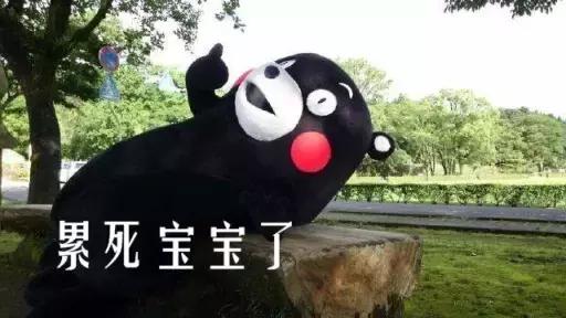 公考报名要选择具体专业的岗位吗,公考办公室岗位