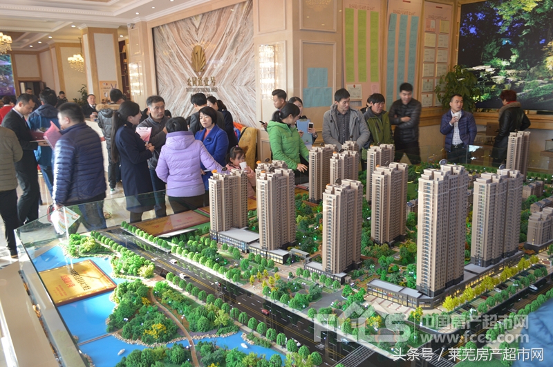 买房政策房源信息楼盘分析,莱城区房价