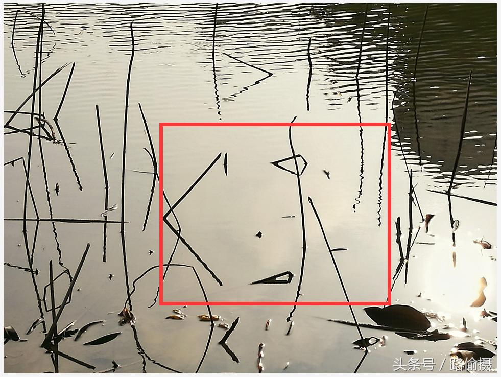 人像摄影液化snapseed,snapseed水墨照片处理