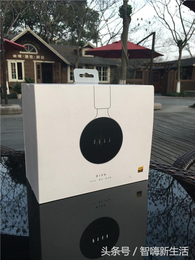 歌姬的狂躁,FIILDIVA无线降噪耳机评测