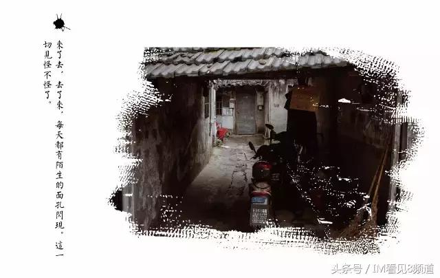 朱行老街乘风破浪,朱行老照片