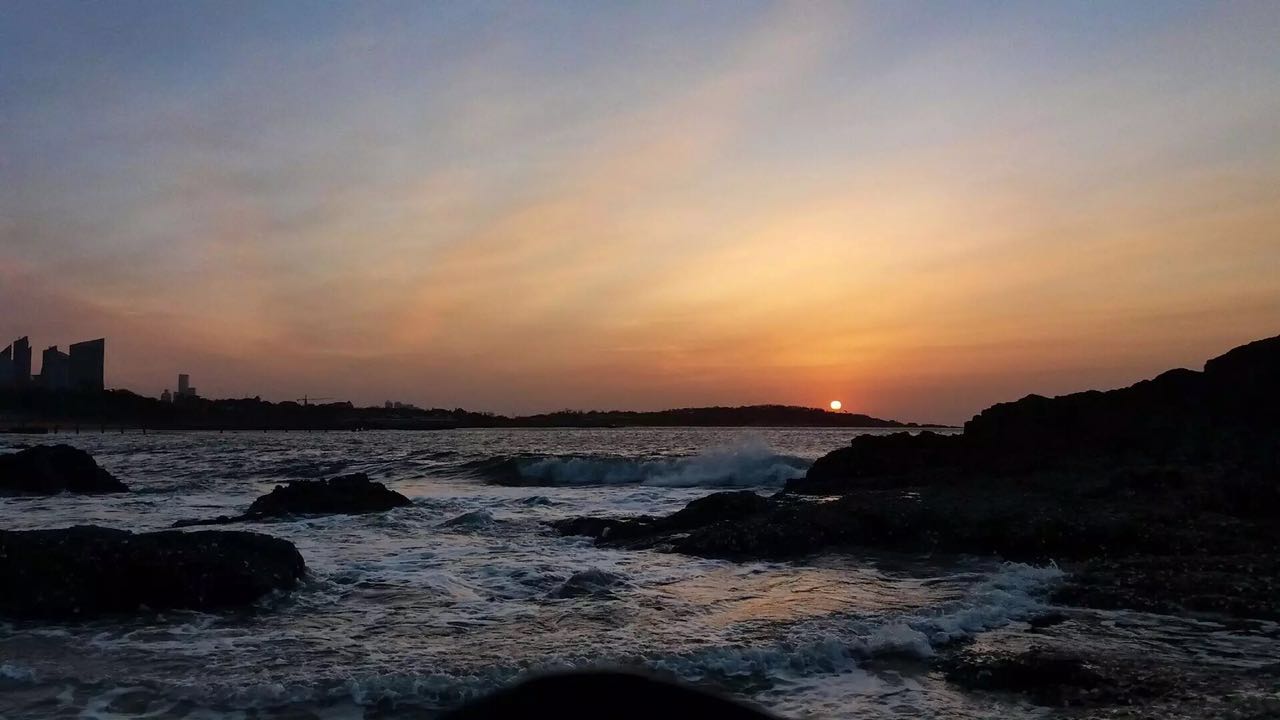 山语散话月季,山语后续