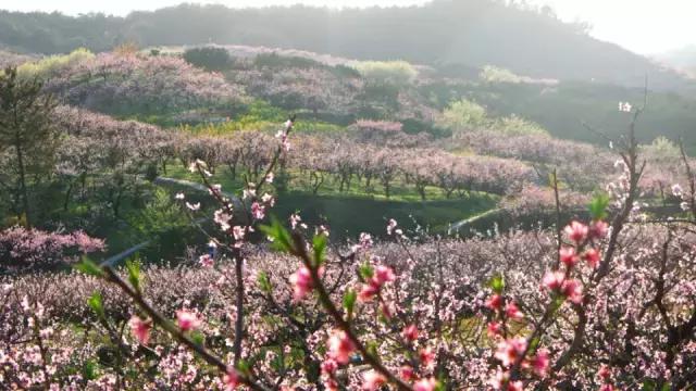 义乌这下要在全世界出名了！