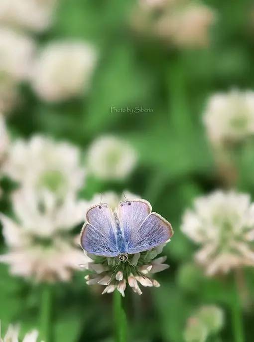 妇科常识100个小知识,女性常见妇科疾病健康宣教内容ppt