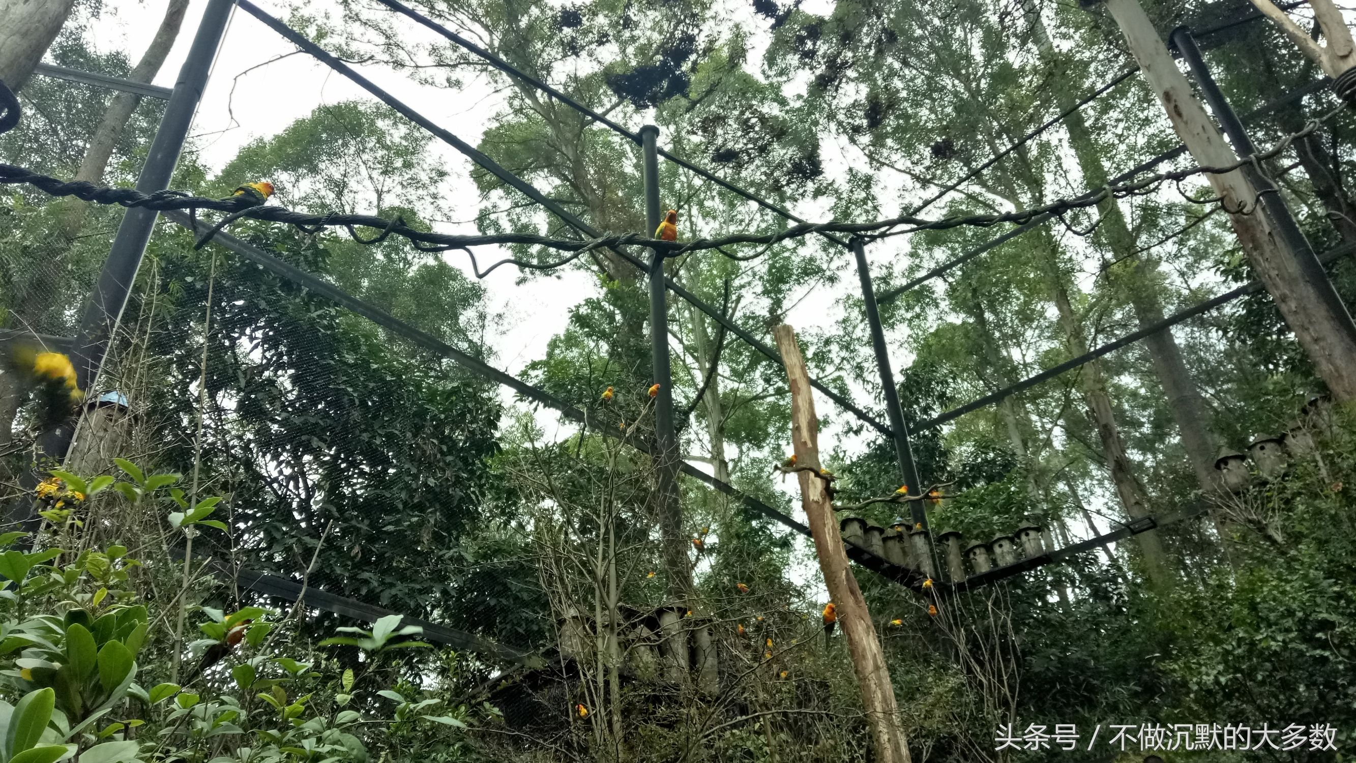 长隆野生动物园金蛇秘境有毒蛇吗,长隆野生动物园金蛇秘境怎么走