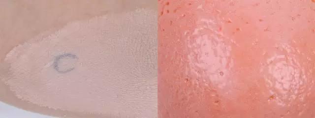 十大公认好用的气垫双层,最好的气垫是哪一款