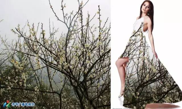 15个姑娘把开平穿在身上，哪一个最美？