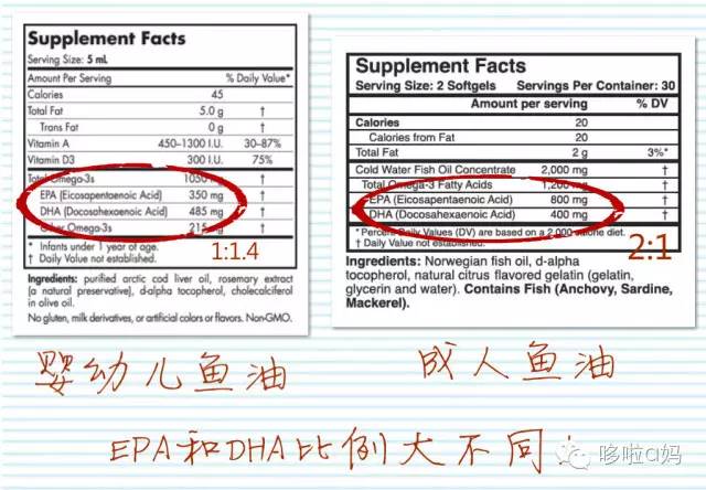 全家老小一起补充营养,全家人的营养补充