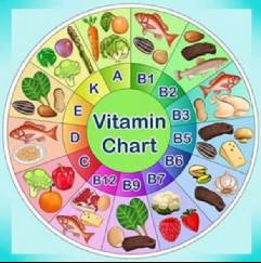 澳洲老爸给女儿做午餐盒,别人家的老爸系列