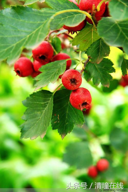 梁明霞天道酬勤书法作品,刘光霞的书法作品