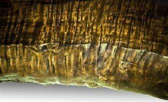 一把木吉他能值多少钱,吉他金丝楠木