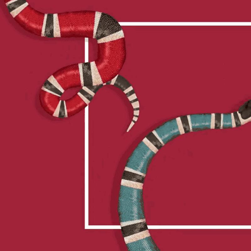 为什么中国女人喜欢美国男人,为什么中国女人那么喜欢韩国人