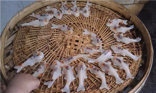 西塘景区有什么好吃的,浙江西塘附近有啥好吃的