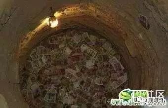 6个有趣奇闻异事保证你没听过,世界奇闻异事大全集