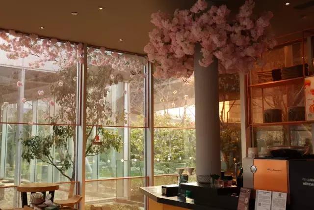 星巴克春季樱花,星巴克官方旗舰店直播樱花杯